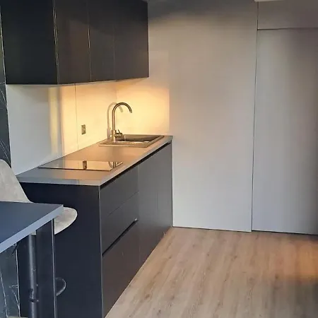 Luxury Homes Apartment Veli Jezenj